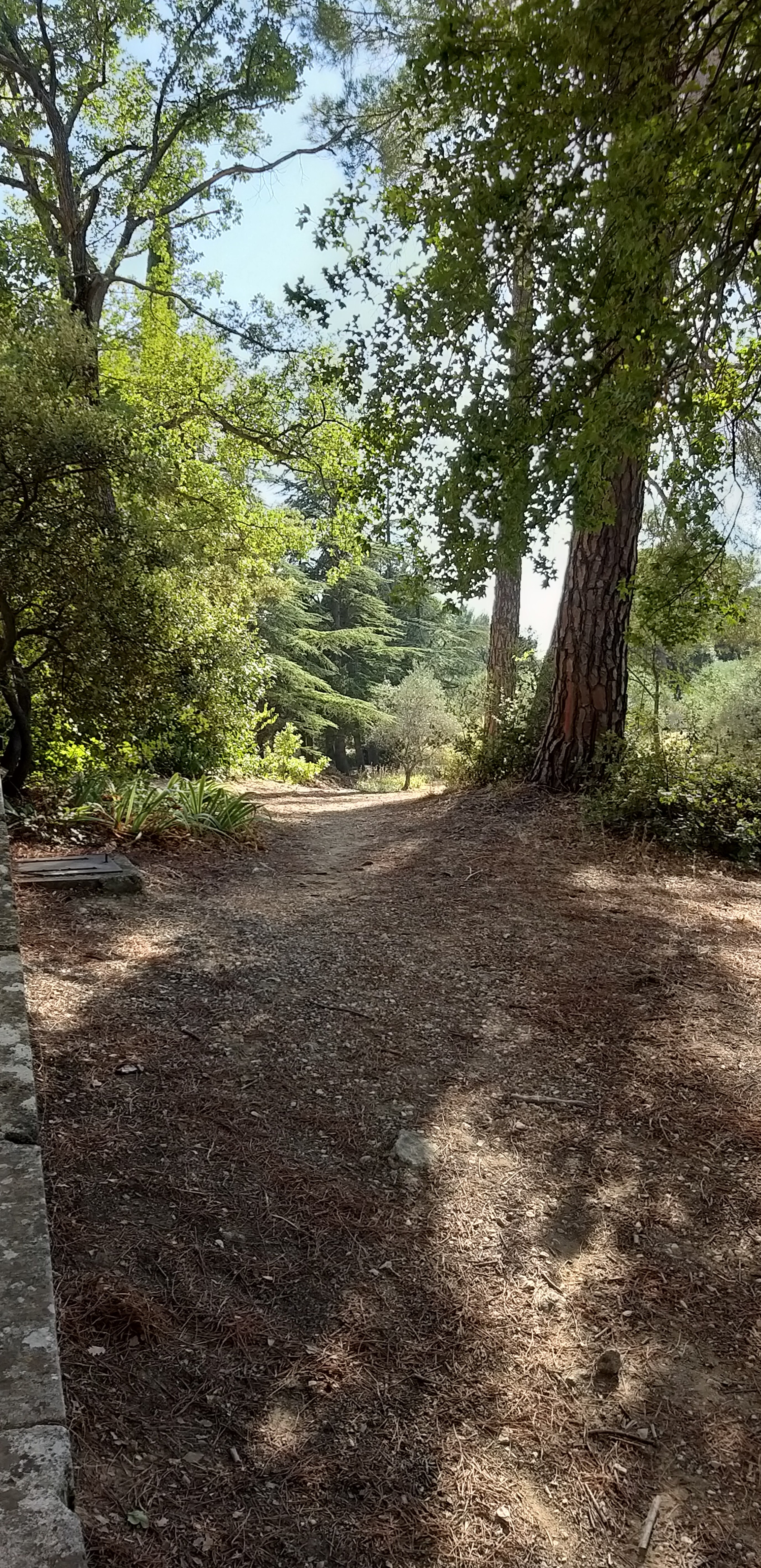 Photo n° 41 de l'avis de unmecdesannees80. fait le 27/08/2019 à 18:09