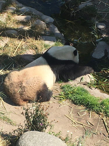 Anmeldelser af Zoologisk Have i Valby - Museum