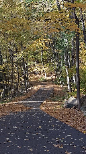 Beach Memorial Park - photo 7