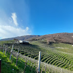 Photo n°4 de l'avis de enrico.i fait le 11/02/2024 à 18:31 sur le  Osteria Senz'Oste à Valdobbiadene