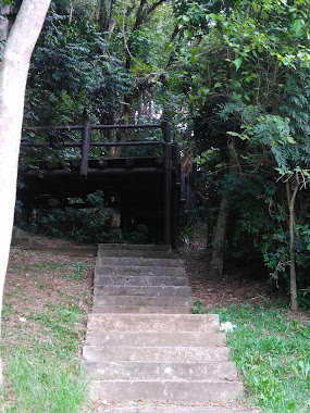 Bosque Erwin Gröger