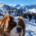 Photo n°1 de l'avis de Marize.a fait le 10/01/2023 à 12:27 sur le  Hotel Rio à Caderzone Terme