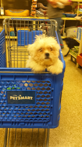 Pet Supply Store «PetSmart», reviews and photos, 2000 Clements Bridge Rd, Woodbury, NJ 08096, USA