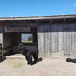 Photo n°4 de l'avis de Bruna.e fait le 16/04/2022 à 15:43 sur le  Tuffalm à Völs am Schlern