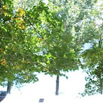 Photo n°1 de l'avis de Roberto.e fait le 20/08/2018 à 18:59 sur le  Chiosco del Lago à Suviana