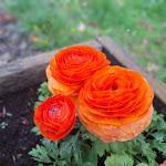 Photo n°5 de l'avis de Claudia.i fait le 21/04/2024 à 18:01 sur le  Hotel-Restaurant & Café Waldschlösschen à Nebra / Ot Wangen