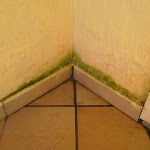 Photo n°3 de l'avis de Marie-Christine.o fait le 11/10/2019 à 07:27 sur le  Club Marmara Cala Fiorita à Budoni