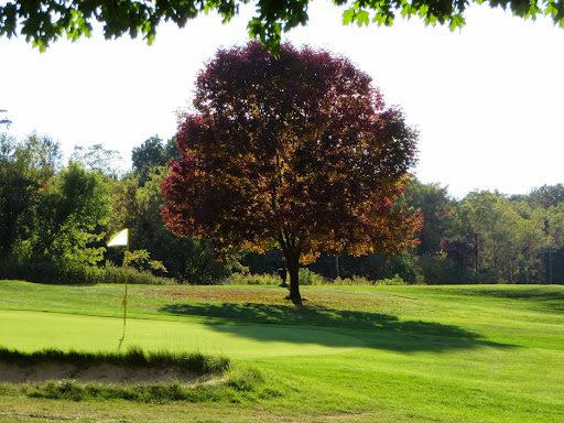 Golf Course «Indian Lake Hills Golf Course», reviews and photos, 55321 Brush Lake Rd, Eau Claire, MI 49111, USA