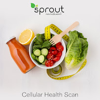 Sprout Nourishment Nutrition - Photo 7 - Car repair in Denver, CO, Denver