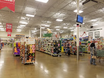 PetSmart - Photo 8 - Car repair in Madison, WI, Madison