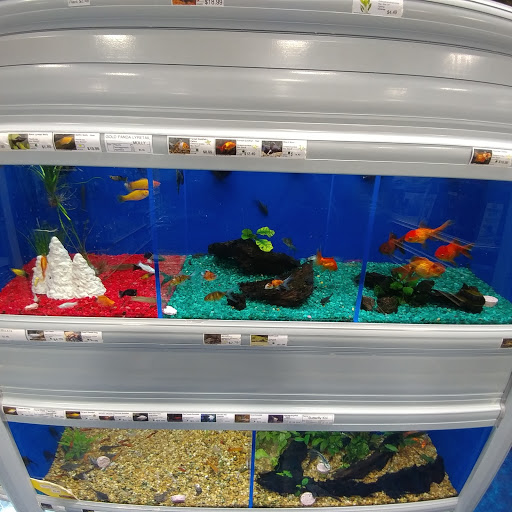 Pet Supply Store «Pet Supermarket, Inc.», reviews and photos, 9579 Bill Arp Rd #21, Douglasville, GA 30135, USA