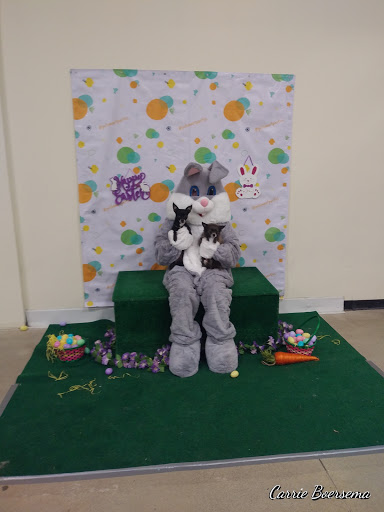 Pet Supply Store «PetSmart», reviews and photos, 1116 S Rochester Rd, Rochester Hills, MI 48307, USA