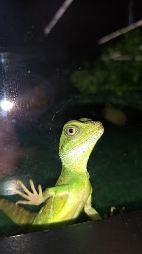 Pet Supply Store «Pet Supplies Plus», reviews and photos, 1810 Declaration Dr, Independence, KY 41051, USA