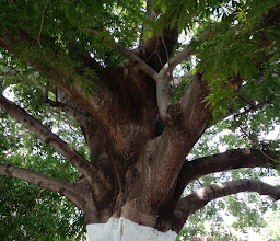 Fracc. Vida Mejor photo