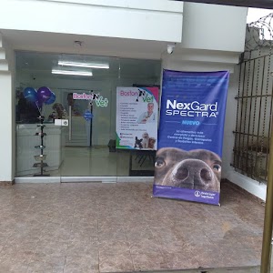 BOSTON VET - photo 1