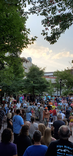 Performing Arts Theater «Diana Wortham Theatre», reviews and photos, 18 Biltmore Ave, Asheville, NC 28801, USA