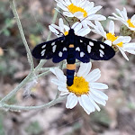 Photo n°6 de l'avis de Hubert.r fait le 24/06/2022 à 08:23 sur le  Il Cantico Della Natura - Eco Resort à Monte Sperello