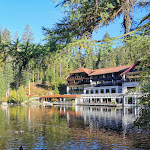 Photo n°3 de l'avis de Caroline.o fait le 07/10/2022 à 19:06 sur le  Hotel Langenwaldsee à Freudenstadt