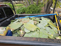 Orozco Gardening Service - Photo 9 - Car repair in , Hayward