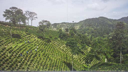 Coffee Shop «Starbucks», reviews and photos, 15 Main St, Old Saybrook, CT 06475, USA