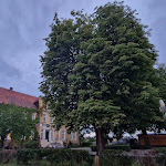 Photo n°1 de l'avis de Hannes.e fait le 31/07/2023 à 13:52 sur le  Hofküche Gutshaus Neu Gaarz à Neu Gaarz