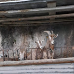 Photo n°2 de l'avis de Tully.u fait le 08/08/2021 à 21:41 sur le  Agriturismo cascina Lert à Marone