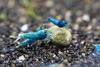 A Fish Store - Photo 9 - Car repair in Pensacola, FL, Pensacola