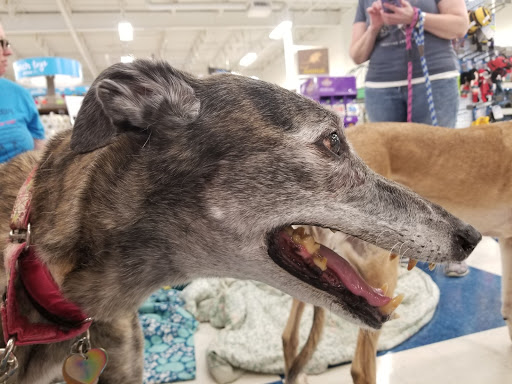 Pet Supply Store «Petco Animal Supplies», reviews and photos, 2277 Ford Pkwy, St Paul, MN 55116, USA