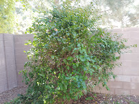 Off Duty Maintenance and More LLC - Photo 9 - Car repair in , Glendale