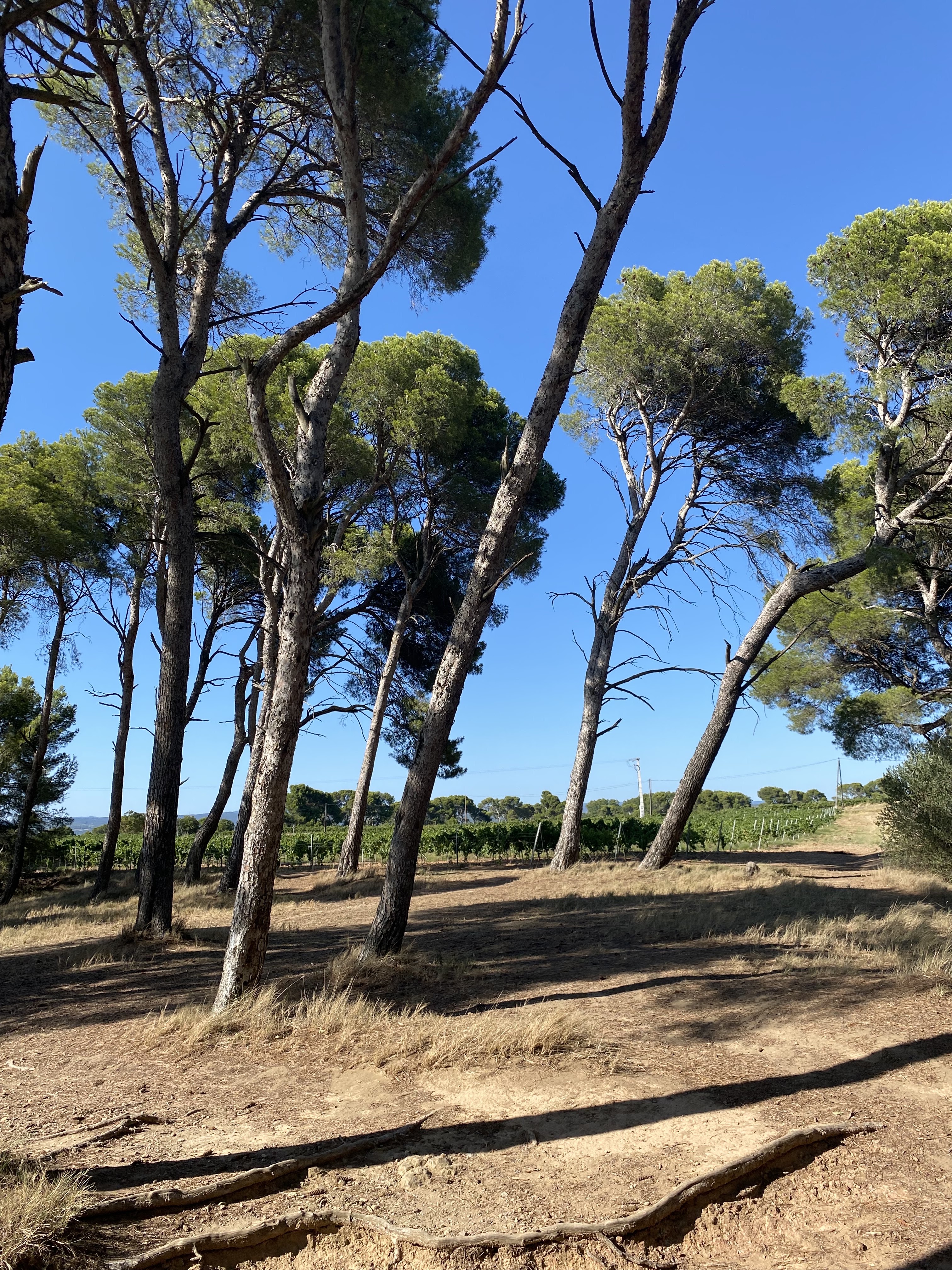 Photo n° 2 de l'avis de arnaud.a fait le 19/08/2021 à 06:22