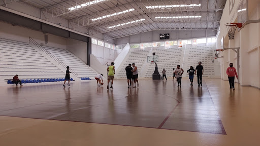 Escuelas baloncesto en Toluca de Lerdo