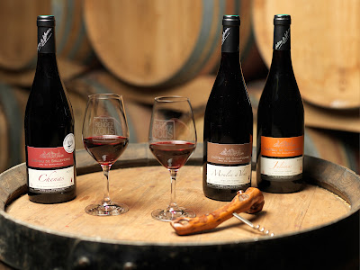 Domaine de Belleverne - Bataillard à La Chapelle-de-Guinchay