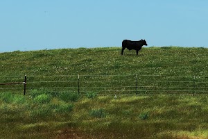 Rush Ranch Open Space - photo 35