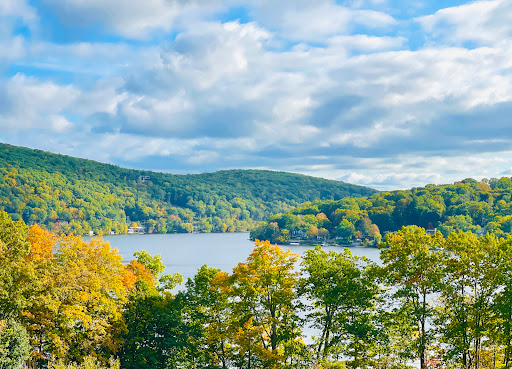 Vineyard «Hopkins Vineyard», reviews and photos, 25 Hopkins Rd, Warren, CT 06777, USA