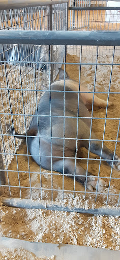 Tourist Attraction «NC State Fairgrounds & Kerr Scott Building», reviews and photos, 1025 Blue Ridge Rd, Raleigh, NC 27607, USA