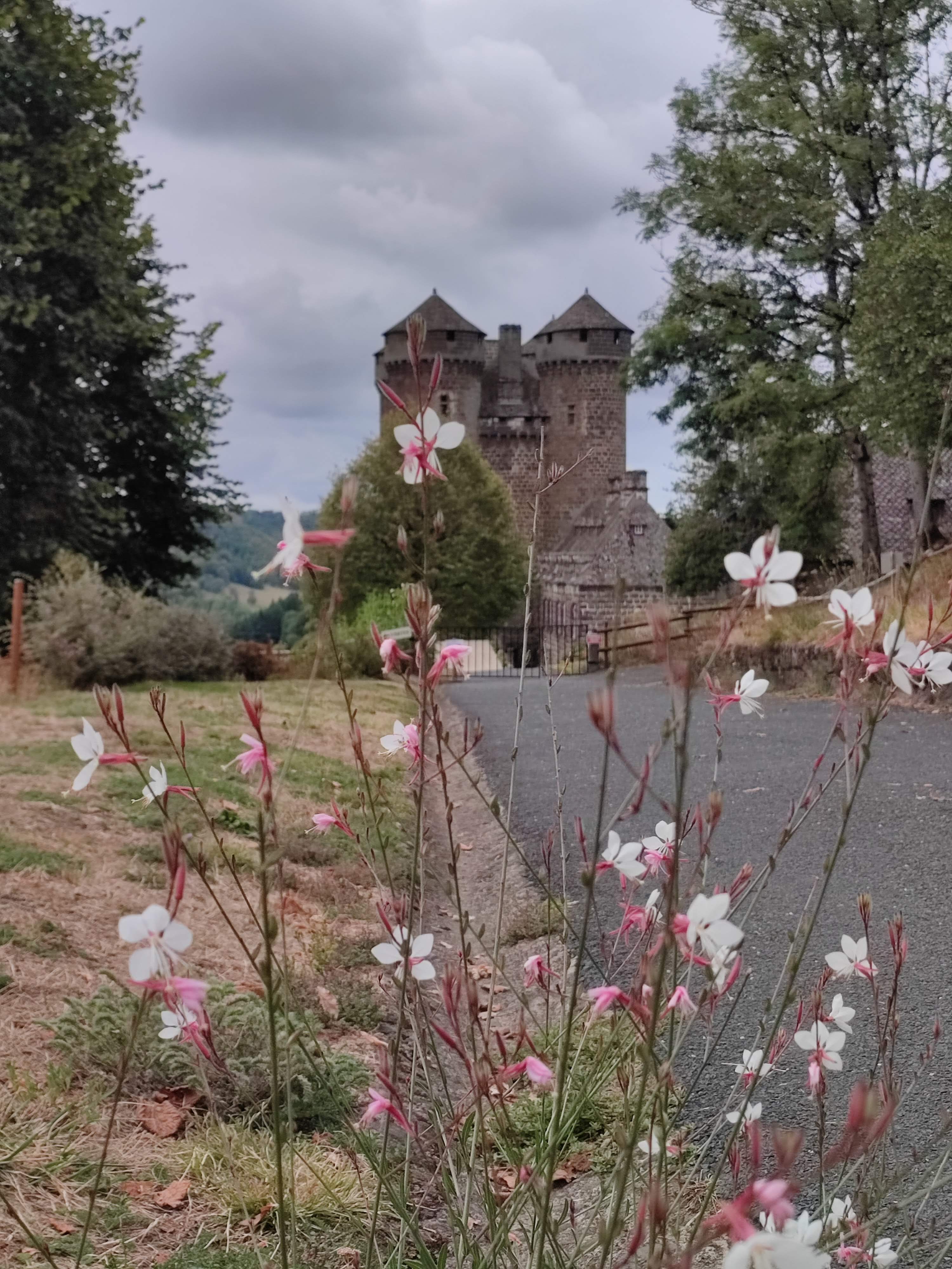 Photo n° 7 de l'avis de François.e fait le 22/08/2022 à 13:25