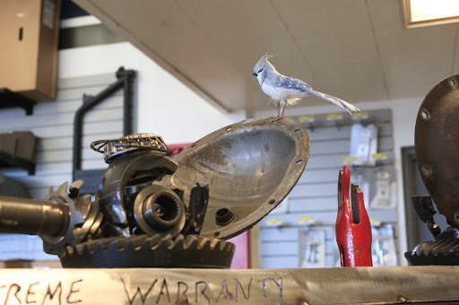 Truck Accessories Store «4 Wheel Parts - Nashville, TN», reviews and photos, 4095 Nolensville Pike b, Nashville, TN 37211, USA