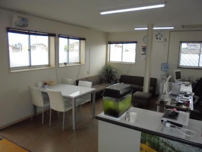 ＣＡＲ ＳＨＯＰ ＳＴＡＧＥ－１
