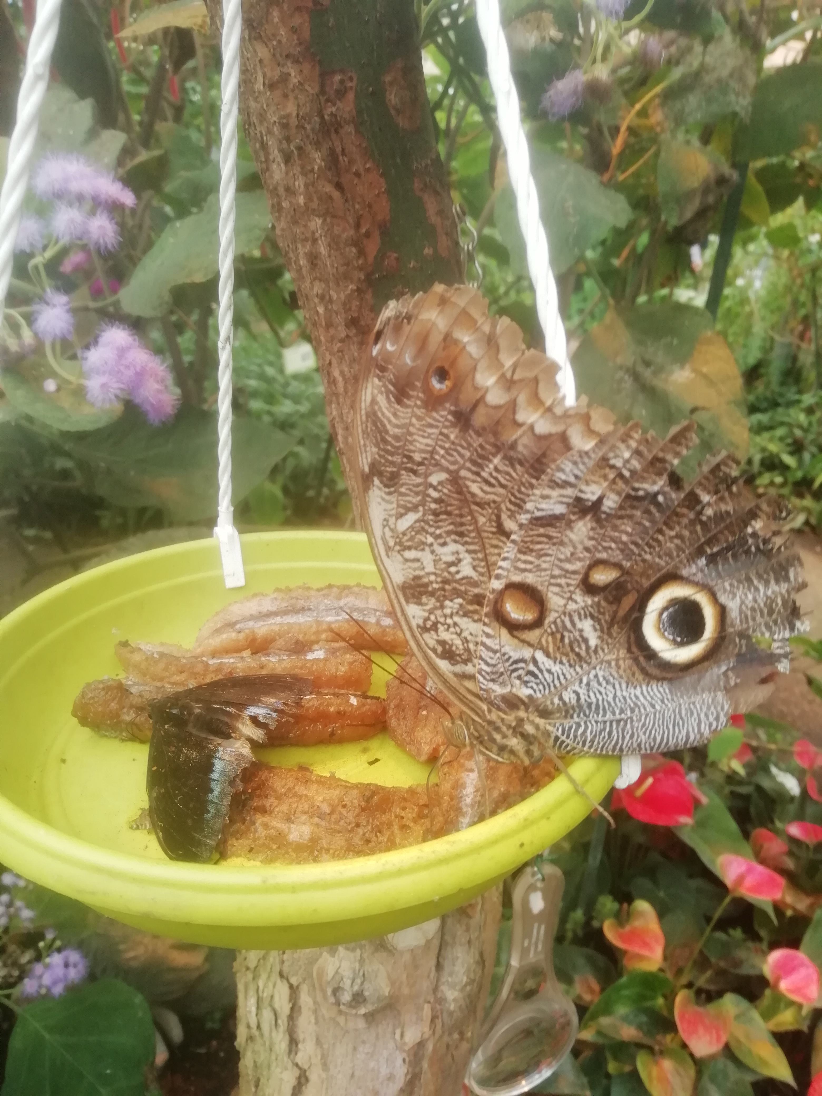 Photo n° 1 de l'avis de Stephanie.e fait le 02/05/2019 à 13:23