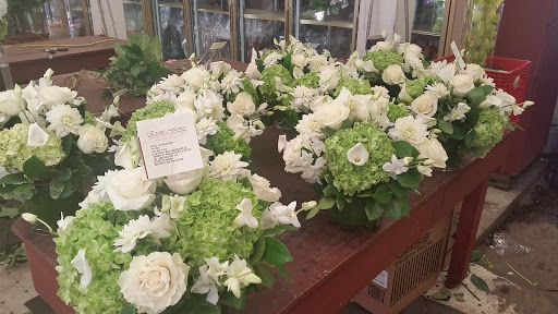Florist «Exotic Flowers», reviews and photos, 609 American Legion Hwy, Boston, MA 02131, USA