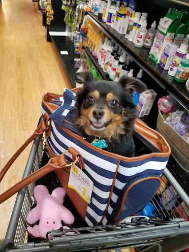 Animal Feed Store «West Lebanon Feed & Supply», reviews and photos, 12 Railroad Ave, West Lebanon, NH 03784, USA