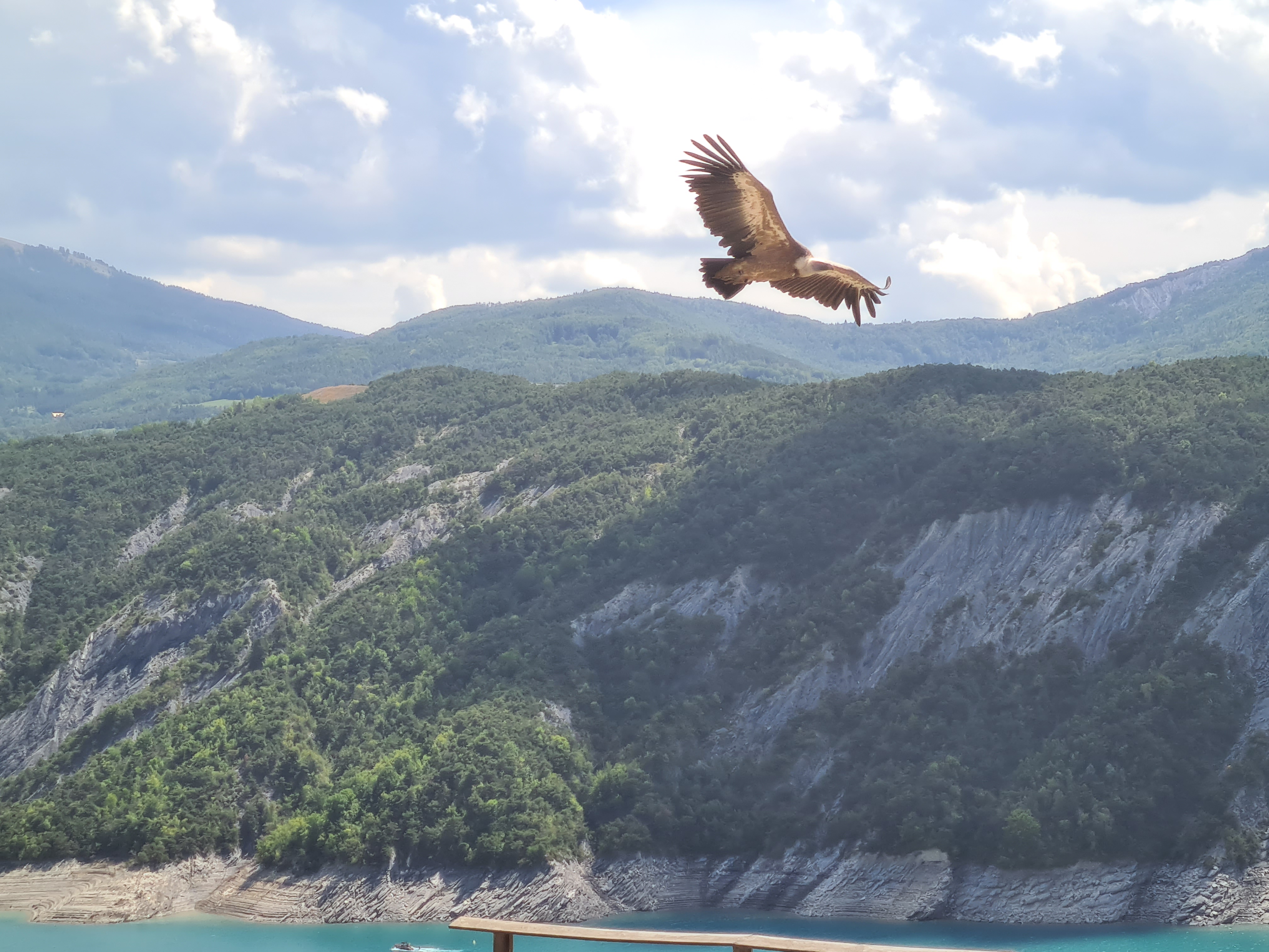 Photo n° 4 de l'avis de Aurelie.e fait le 15/08/2022 à 14:41