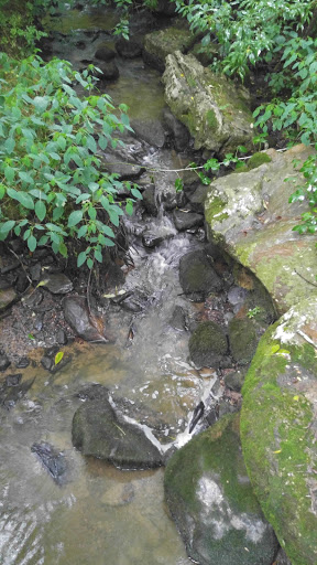 Gift Shop «Stonehedge Gardens», reviews and photos, 51 Dairy Rd, Tamaqua, PA 18252, USA