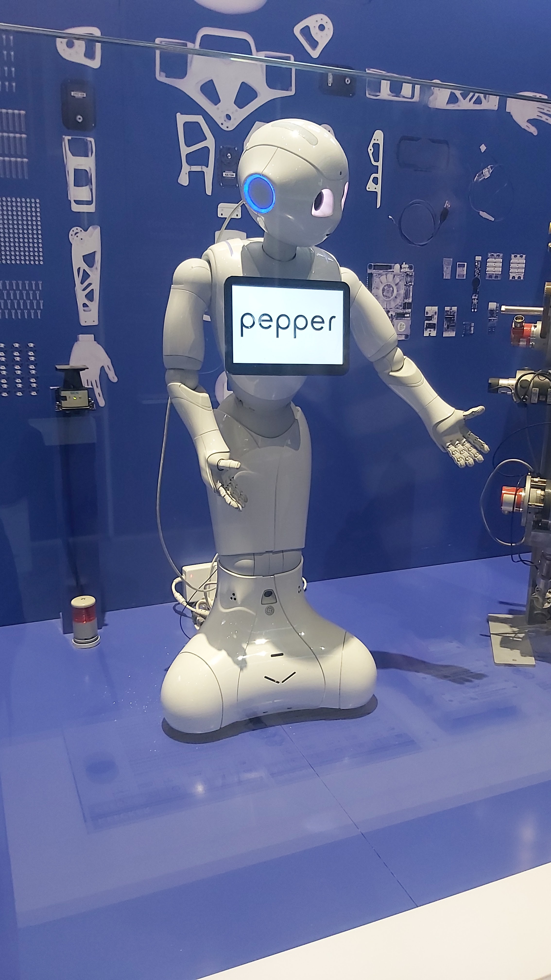 Photo n° 14 de l'avis de Celine.e fait le 27/01/2024 à 14:49