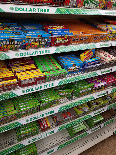 Dollar Store «Dollar Tree», reviews and photos, 168 Glen Cove Rd #C, Carle Place, NY 11514, USA