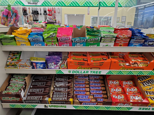 Dollar Store «Dollar Tree», reviews and photos, 528 North Ave, Glendale Heights, IL 60139, USA