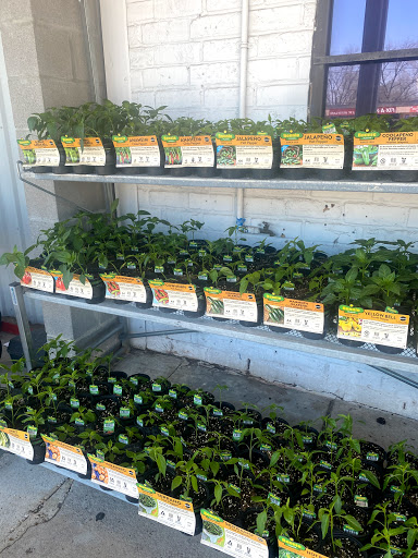 Hardware Store «Cypress Ace Hardware», reviews and photos, 11655 Jones Rd, Houston, TX 77070, USA