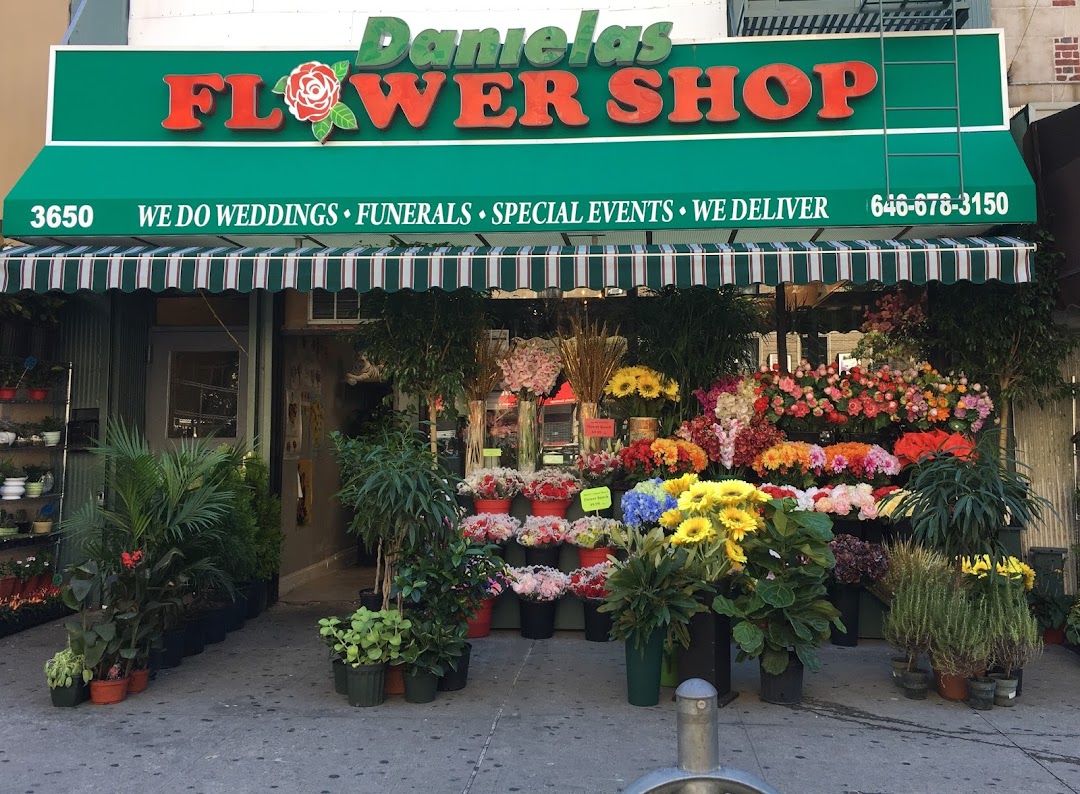 Danielas Flower Shop II