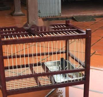 Top 20 chuỗi cửa hàng kepal Quận Hà Đông Hà Nội 2022