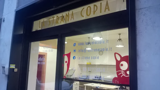 La strana copia